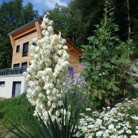 Villa Cora Venez Neuve Avec Saint-Bresson